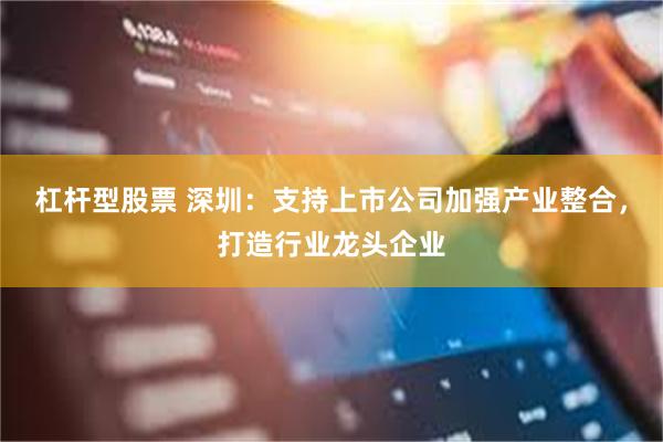 杠杆型股票 深圳：支持上市公司加强产业整合，打造行业龙头企业