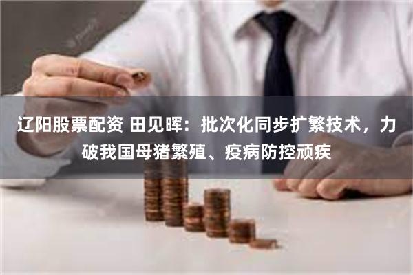 辽阳股票配资 田见晖：批次化同步扩繁技术，力破我国母猪繁殖、疫病防控顽疾