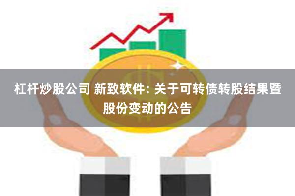 杠杆炒股公司 新致软件: 关于可转债转股结果暨股份变动的公告