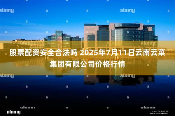 股票配资安全合法吗 2025年7月11日云南云菜集团有限公司价格行情