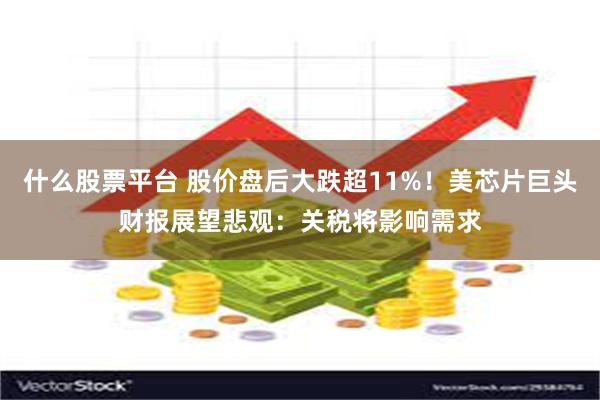 什么股票平台 股价盘后大跌超11%！美芯片巨头财报展望悲观：关税将影响需求