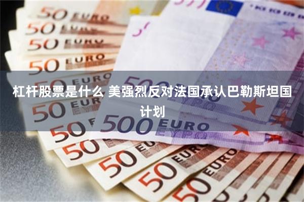 杠杆股票是什么 美强烈反对法国承认巴勒斯坦国计划