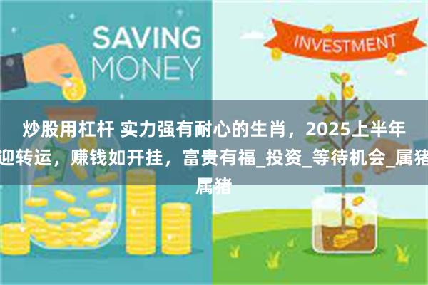 炒股用杠杆 实力强有耐心的生肖，2025上半年迎转运，赚钱如开挂，富贵有福_投资_等待机会_属猪