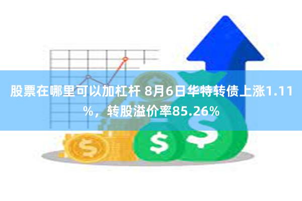 股票在哪里可以加杠杆 8月6日华特转债上涨1.11%，转股溢价率85.26%